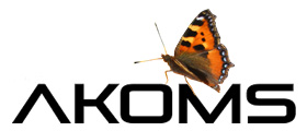 A Koms, информационная технология