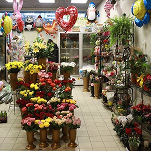 Alise, flower shop