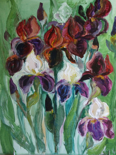 Ziedi Irisi