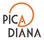 Pica Diana, picērija