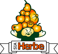 Herbe, Рижское бюро