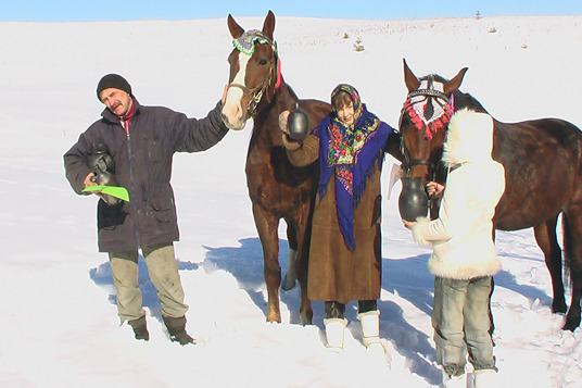 Зимние соревнования конных саней 