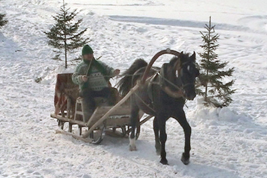Horse cart winter competitions Z/S 