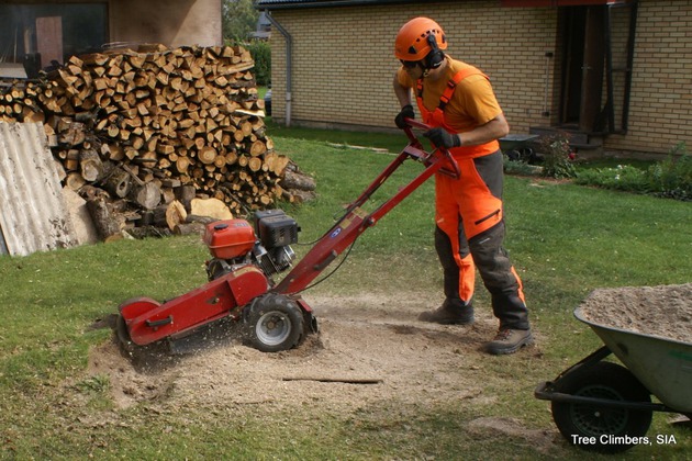 Bough and timber chipping