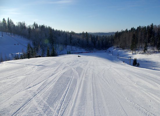 Hill skiing tracks