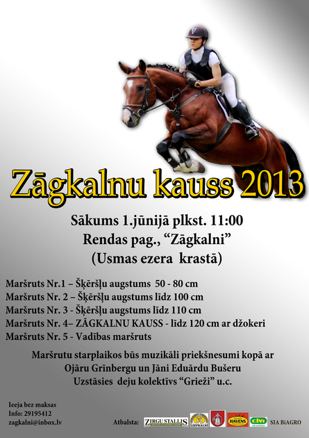 Riding sport - show jumping