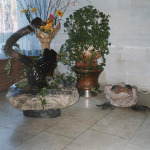 Fountains