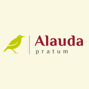 Alauda, SIA