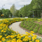 Labiekārtošana, apzaļumošana