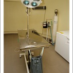 Vetreinary surgery