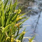 Erholung in der Natur