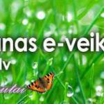 Магазины интернет