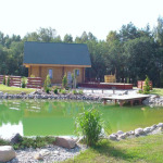 Saunas