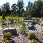 Отдых на природе