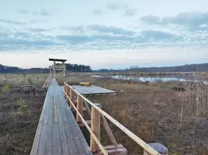 Dabas pastaigu taka un skatu tornis Pelēču ezera purvā, bird watching tower