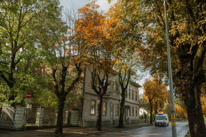 Dāvida Apartamenti, apartamentu viesnīca