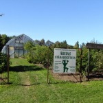 Tree nursery