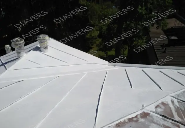 Roofing painting