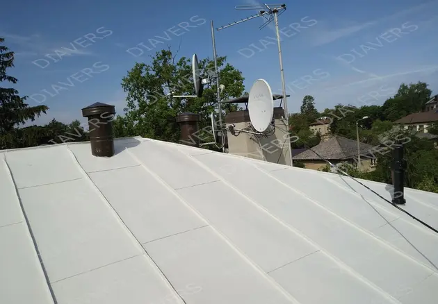 Roofing painting