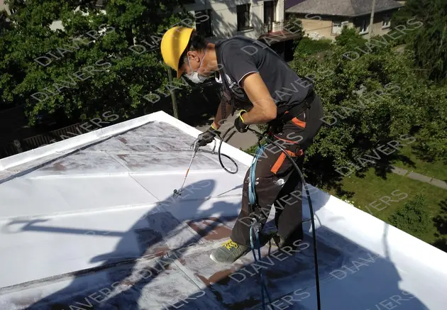 Roofing painting