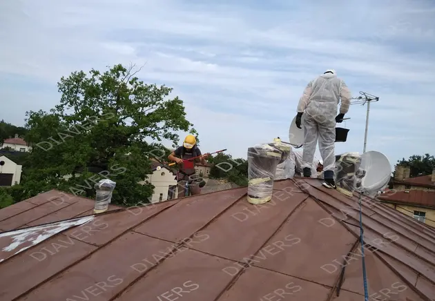 Roofing painting