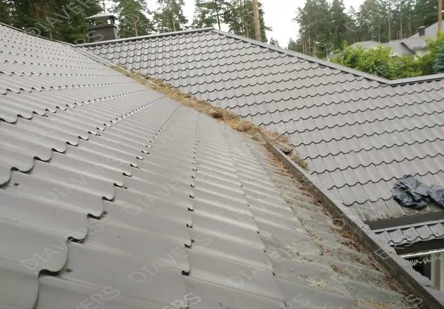 Roof covering washing and cleaning