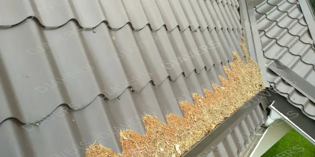 Roof covering washing and cleaning