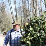 Koku vainagu veidošana, kopšana, nostiprināšana, retināšana, samazināšana