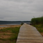 Bathing grounds