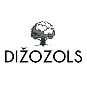 Dižozols plus, SIA