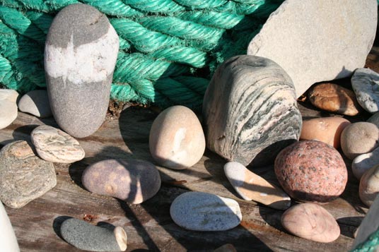 Музей предметов, выброшенных на берег морем