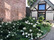 Garden House, viesu māja
