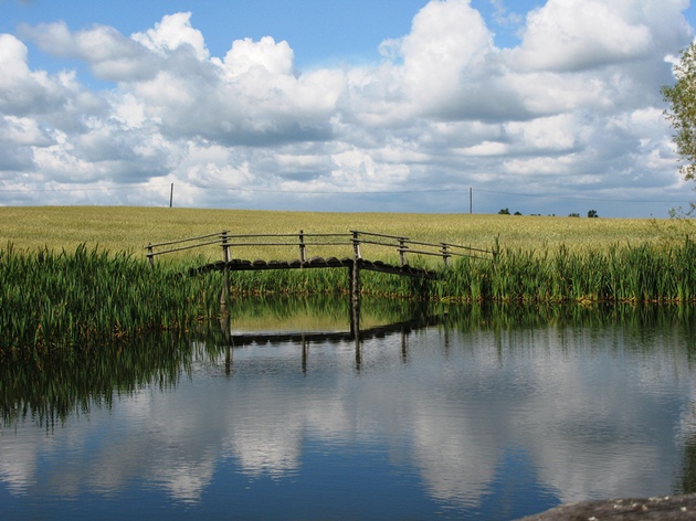 Relaxation at waters