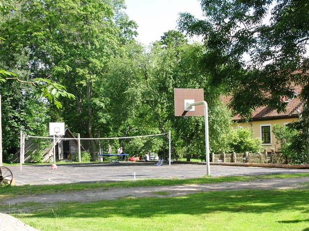 Basket-ball areas