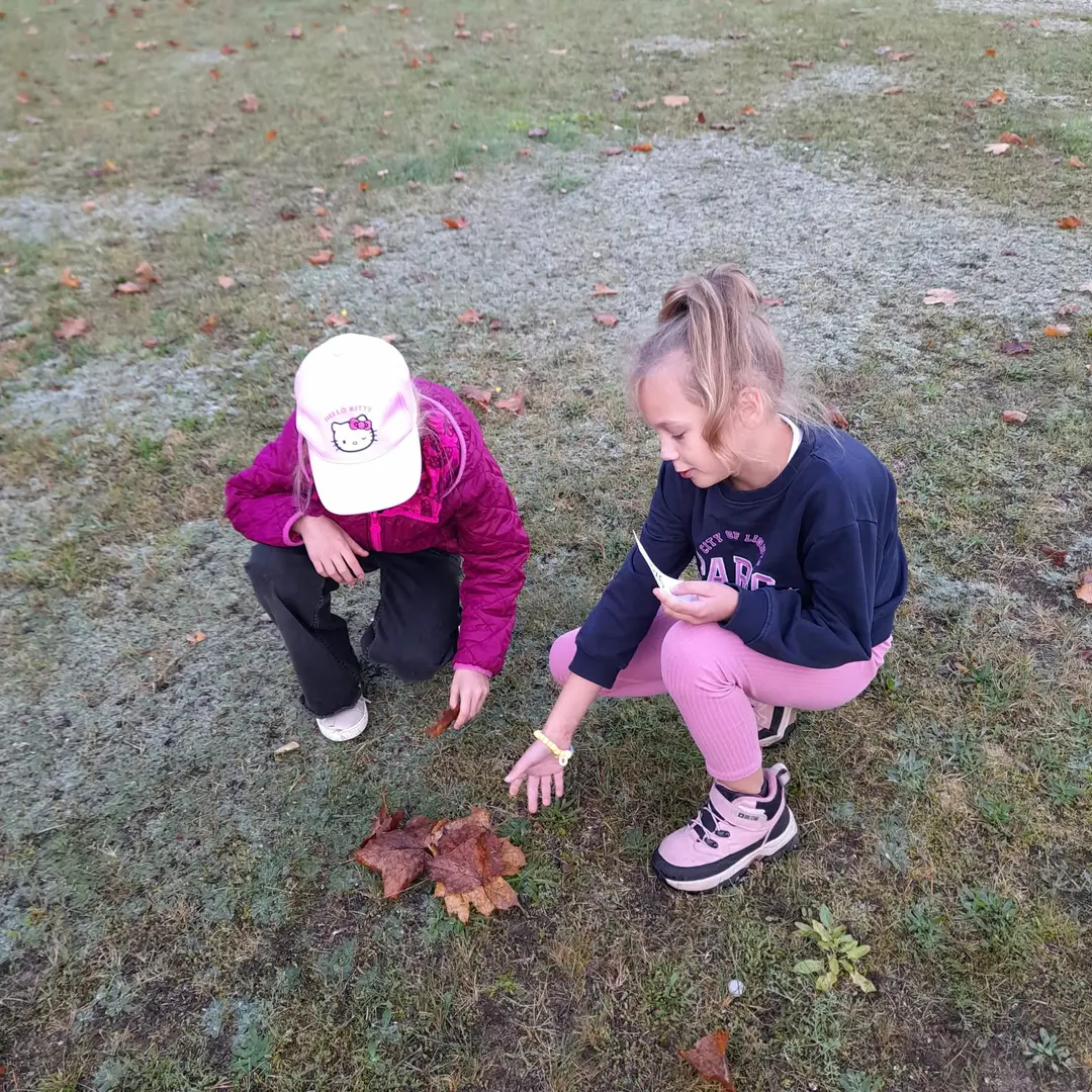 img-20261008-wa0010.webp