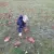 img-20261008-wa0007.webp