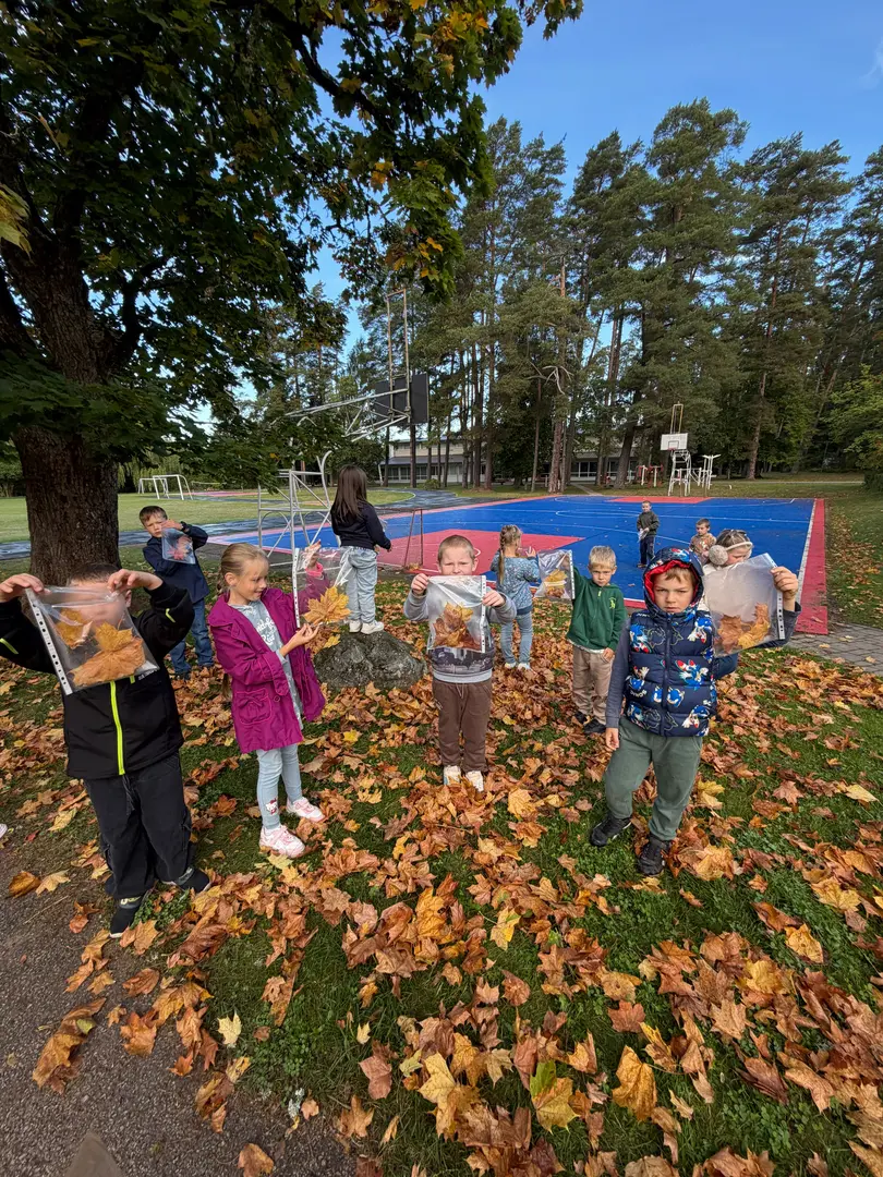 img-20260918-wa0052.webp
