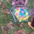 img-20261015-wa0043.webp