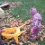 img-20261030-wa0083.webp