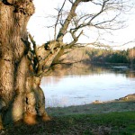 Relaxation at rivers
