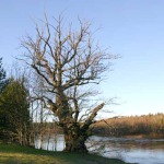 Relaxation at the Gauja river