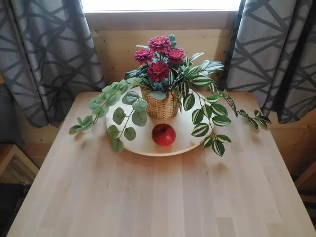 The houses for holidays