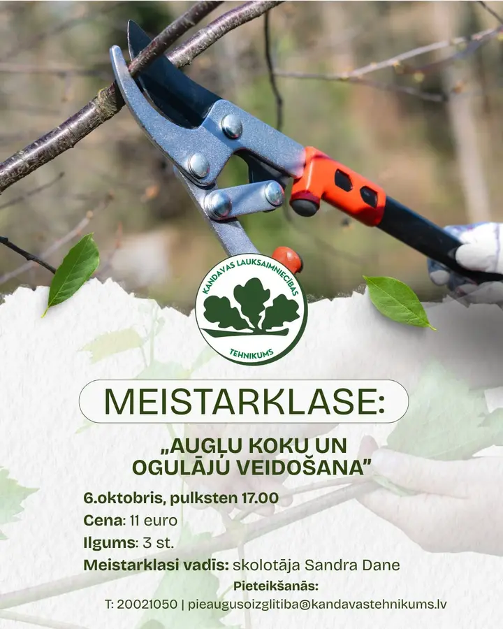 auglu-koki-veidosana.webp
