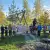 1111_0.webp