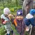 gsml6612.webp