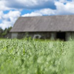Овсяная каша быстрого приготовления