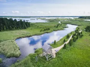 Kaņiera ezera putnu novērošanas tornis, Vogelbeobachtungsturm
