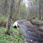 Tourism attraction sites