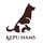 Ķepu Nams mini, zoo veikals