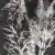 20251022-130603.webp